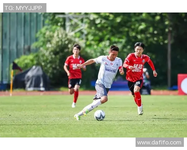 南京足球队实力强劲荣登足球个人能力排行榜第五名