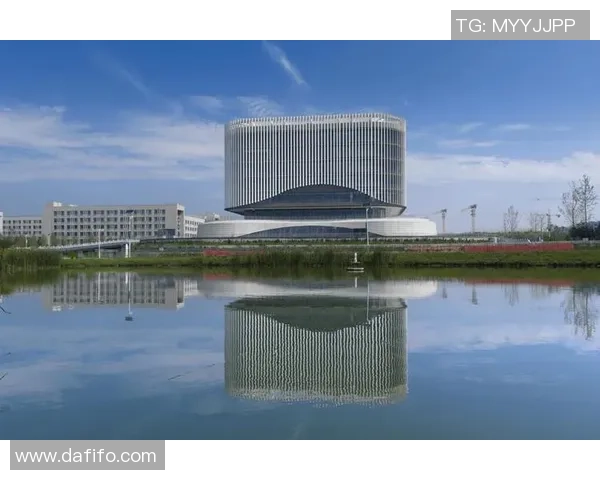 杭州排球队的奋进之路：从默默无闻到联赛强队的蜕变与荣耀