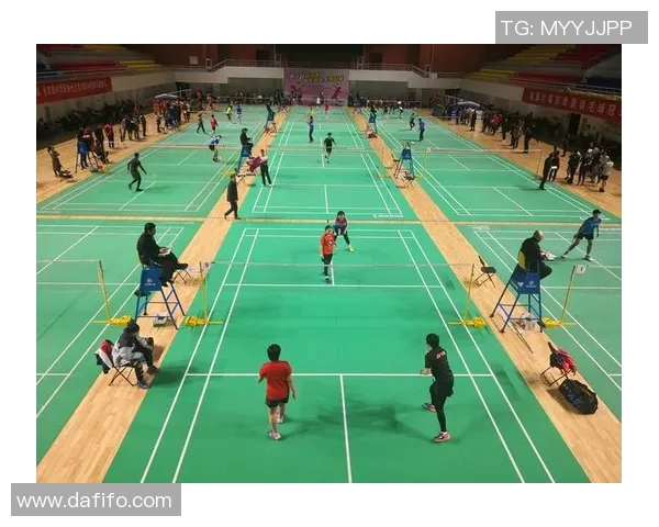 西安羽毛球队在挑战赛中的表现与经验总结分析 西安羽毛球队在挑战赛中的表现与经验总结分析