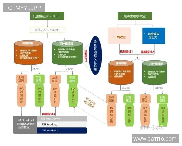 赛后分析:西安乒乓球队与北京乒乓球队个人能力对比探讨 赛后分析:西安乒乓球队与北京乒乓球队个人能力对比探讨