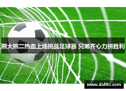 熊大熊二热血上场挑战足球赛 兄弟齐心力拼胜利